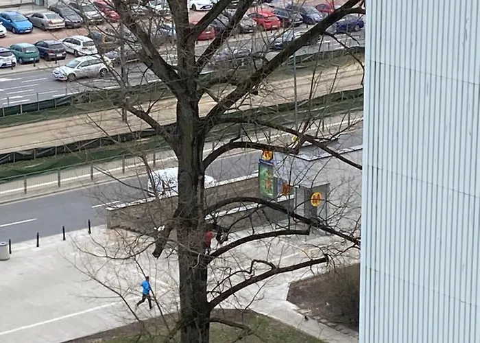 Διαμέρισμα Found Space Metro Pole Mokotowskie 5 Min From Centrum Βαρσοβία